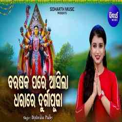 Barasaka Pare Aasila Dharare Durga Puja